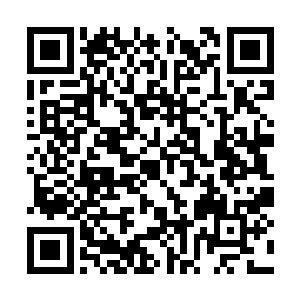 一股子无法形容的力量突然笼罩了所有的位面猎人二维码生成