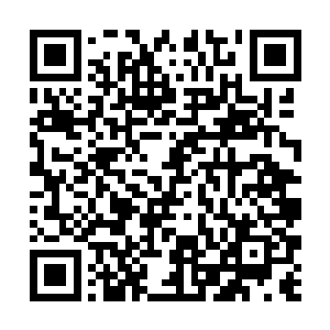 一股强大的冲击力以两只巨爪碰撞的中心朝四周冲去二维码生成