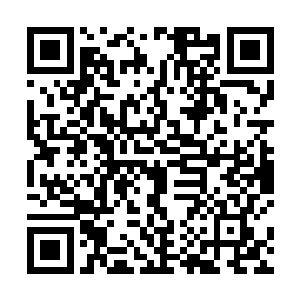 一股恐怖的充满了毁灭的气息也是瞬间从上面弥漫开来二维码生成