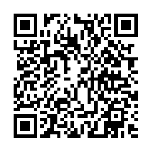一股恐怖的压迫和暴虐的气息也是从对方的身上散发出来二维码生成