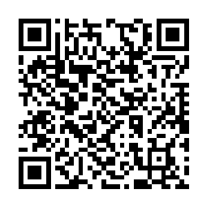 一股恐怖的暴虐的气息也是从袁洪的身上散发出来二维码生成