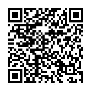 一股恐怖的杀伐之气也瞬间直接从龙傲天的身上散发出来二维码生成