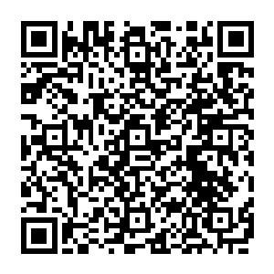 一股恐怖的气息也是从小金的身上散发出来显然这些人的行为已经彻底的让小金愤怒了二维码生成