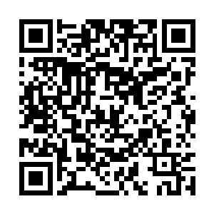一股恐怖的浩瀚的气息也是从对方的身上散发出来二维码生成