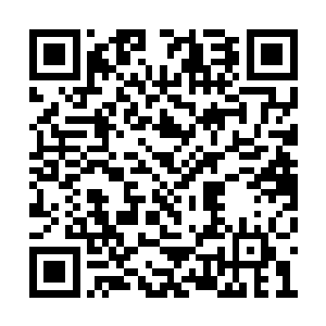 一股恐怖的狂暴的气息也从雷兽的身上散发出来二维码生成