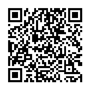 一股恐怖的狂暴的气息也直接从鸿蒙塔上面散发出来二维码生成