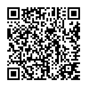 一股恐怖的紫sè的光芒也是瞬间将周围的狂暴的能量隔绝在了外面二维码生成