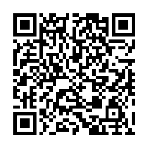 一股悸动不安的灵气也开始从那个扭曲的空间中四溢出来二维码生成