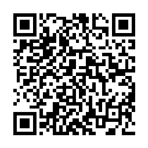 一股无比恐怖的狂暴的气息也直接从雷兽的身上散发出来二维码生成
