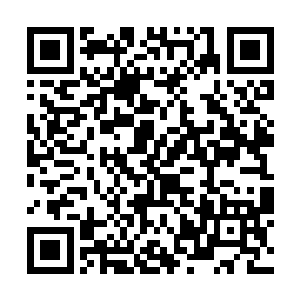 一股无比恐怖的血腥的气息瞬间从棺材里面散发出来二维码生成