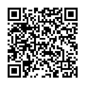 一股无比精纯的元气沿着自己的四肢百骸开始循环起来二维码生成