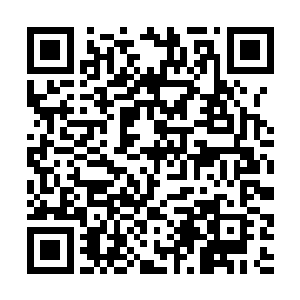 一股极其浓郁的青色光华当即从他的手掌中爆发出来二维码生成