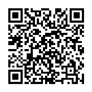 一股浓烈的异味伴随着一团氤氲的雾气从底下方传来二维码生成