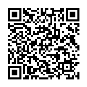 一股混着血腥味的黑红雾气从雪玉七窍中呼呼而出二维码生成