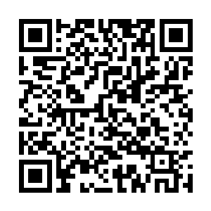 一股澎湃的压迫气息也直接从杨戬的身上散发出来二维码生成