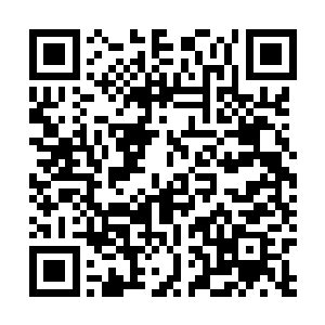 一股烟尘沿着电梯井升腾而起－－那电梯生生摔了个稀烂二维码生成