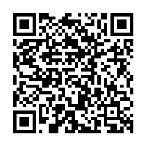 一股玄而又玄的力量透过他的掌心渗入水晶球内的食人魔巫师中二维码生成
