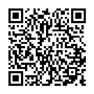 一股股充满了毁灭的气息也是朝着两个人的身上狂涌而去二维码生成