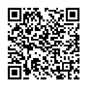 一股股恐怖的虚弱的感觉不断的冲击龙傲天的心神二维码生成