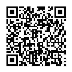 一股股比血色心魔更加深邃和玄妙的气息冲天而起二维码生成