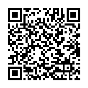 一股脑把除了昏晓错星辰之外的星域宝具都丢给了她二维码生成