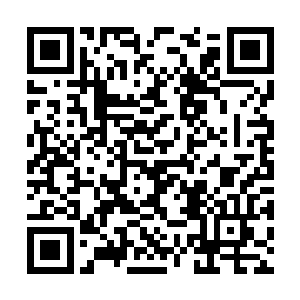 一股蕴含着恐怖能量的拳头便是出现在了他的面前二维码生成