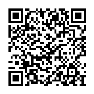 一股让人如坠幽冥的恐怖气息迅速充斥自己全身二维码生成