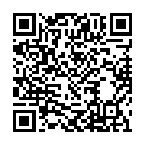 一股阴冷的气息也直接从这朵火焰上面散发出来二维码生成