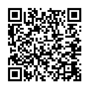 一股飓风一样的冲击波的余波瞬间扫过整个天方城二维码生成