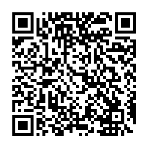 一脚踢中白兰的胸口之后再接一个漂亮的三百六十度托马斯回旋落地法二维码生成
