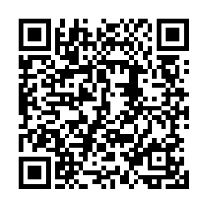 一脸平静的揭开了自己那张从始至终都没有看过一眼的底牌二维码生成