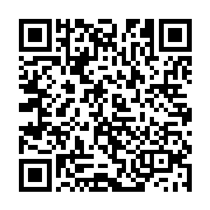 一脸微笑的看着张铁从生命之花的花苞之中钻了出来二维码生成