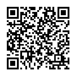 一脸恶狠狠地向还在痛得哇哇大叫的聂远吐了一口唾沫二维码生成