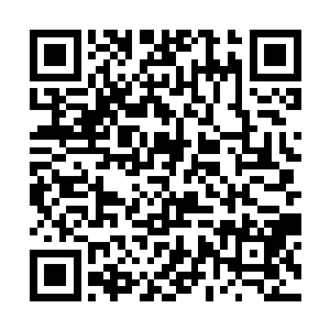 一脸担忧的望着那座散发着五行颜色绚烂光华的宝塔二维码生成