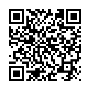 一脸的我不知道你在说什么的样子二维码生成