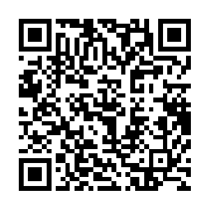 一般固元境四五重的修真者未必是一只四品中期妖兽的对手二维码生成