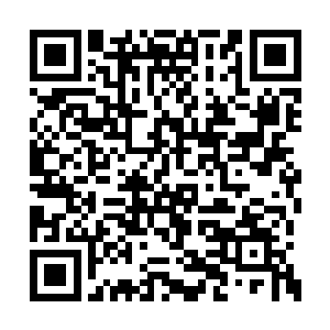 一般有洞府盘踞的海岛才会以洞府的名字来命名二维码生成