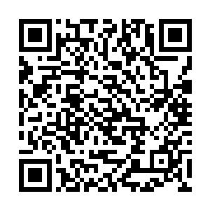 一般正规军人是不会选择军校仓库中的机甲去应战的二维码生成