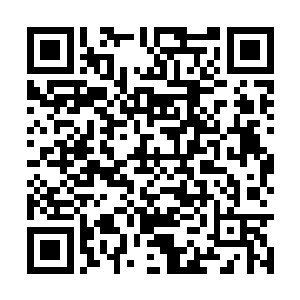 一般洞主身边的侍女挑选的都是有修行资质的女人二维码生成