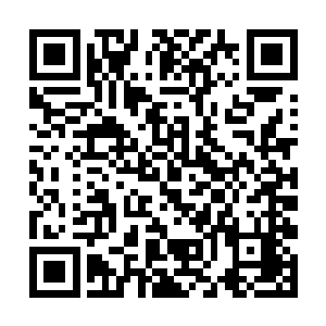 一般的人相境大师的法相都是五十丈到七十丈的样子二维码生成