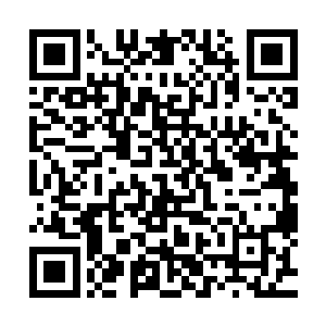 一般的夏侯家族子弟躲在地下的和明面上的从不发生任何联系二维码生成