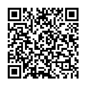 一般都是由鸾祥姐姐或者艾丽丝小姐的叔叔婶婶带着二维码生成