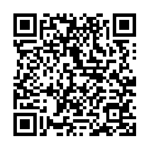 一艘不幸路过此地的船只被滔天的巨浪打成了粉碎二维码生成