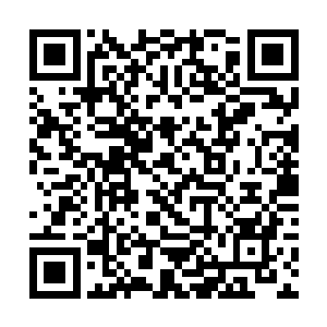 一行人的到来让临淮侯府的门房和外院管事猝不及防二维码生成