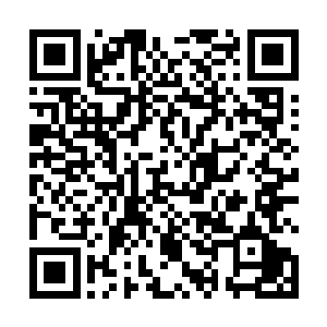 一袭白衣如雪的秦薇薇领着几骑风尘仆仆赶到了水云府二维码生成