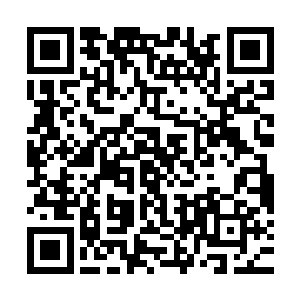 一袭长袍不大齐整穿在身上的柳红袖柳大人笑意盈盈得站在那里二维码生成