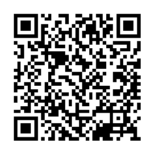 一袭青衣妖媚无比的女子出现在了夜染的视线中二维码生成