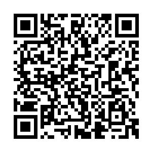 一记干净利落的手刀劈在了精灵少年的后脑勺上二维码生成