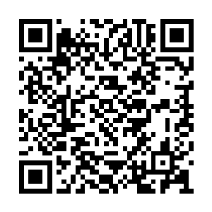 一语就说破了法律立意之根本--公平公开公正二维码生成