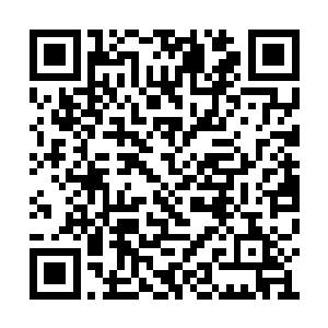 一起朝远处那个被撕开了防御圈的几个少年扑去二维码生成